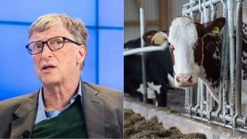 super cows by spending $ 1 billion