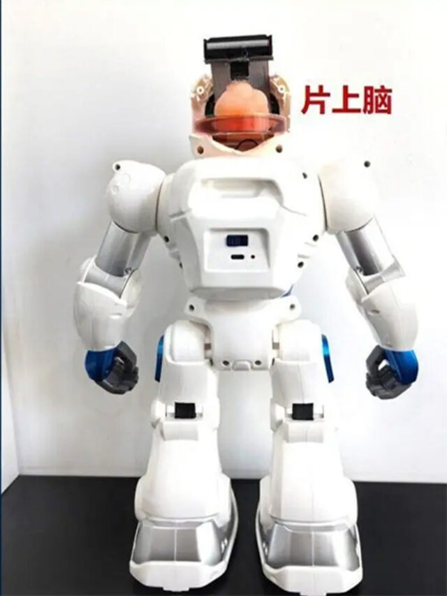 ai-robot-brain-china