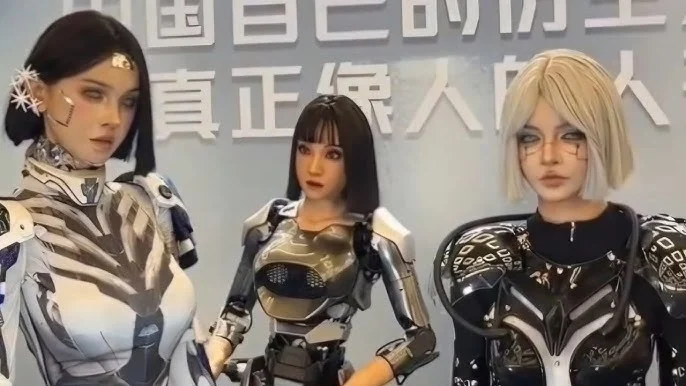 Humanoid Robots at Chinese Robot Conference